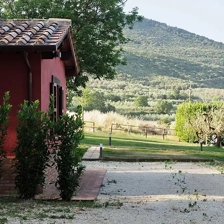 Ulivi E Sentieri